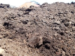 Земля плодородная