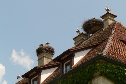 Металлочерепица в Бежецке