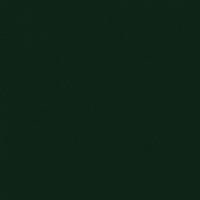 Гладкий лист 0,4 мм Полиэстер RAL 6005 «Зеленый темный»